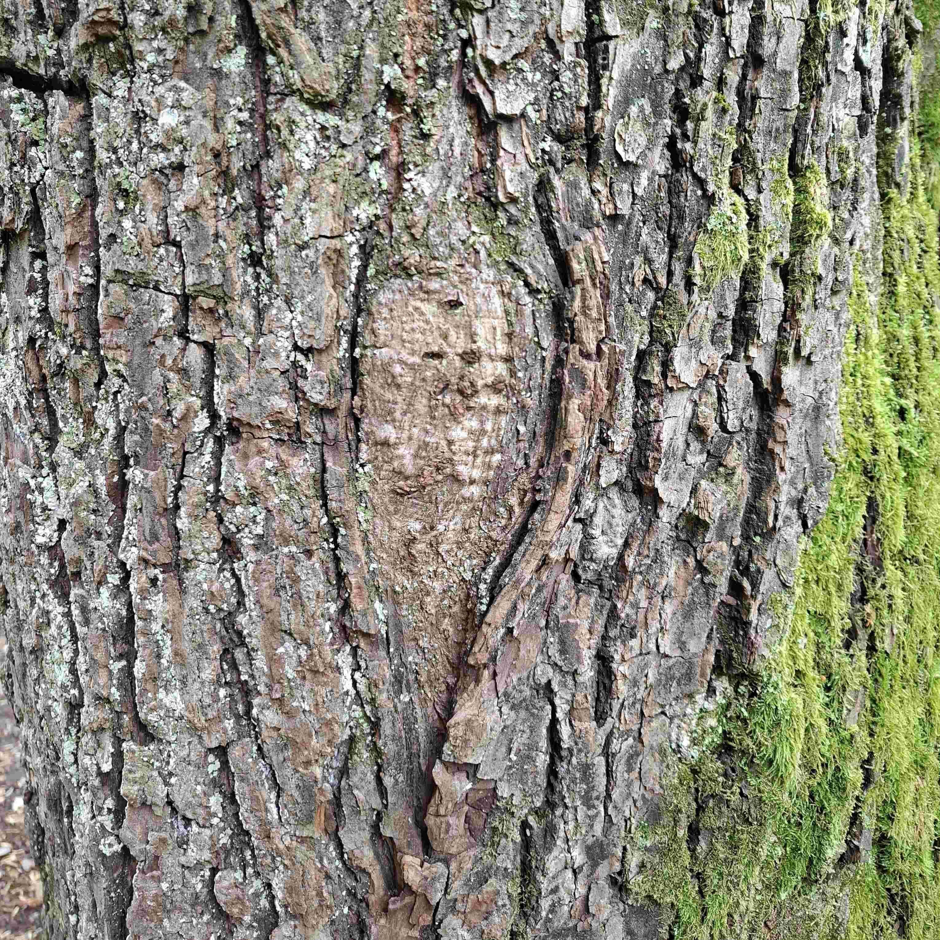 Frauengesundheit - Unterstützung bei Beckenbodenproblemen und Schmerzen
