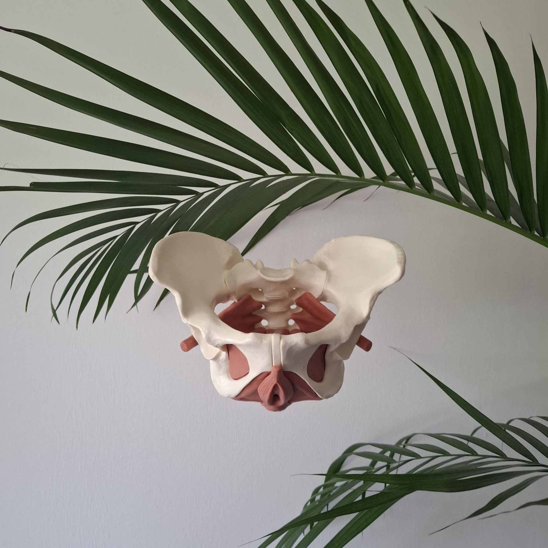 Becken - Verbesserung der Mobilität des Bewegungsapparates und Narbenbehandlung